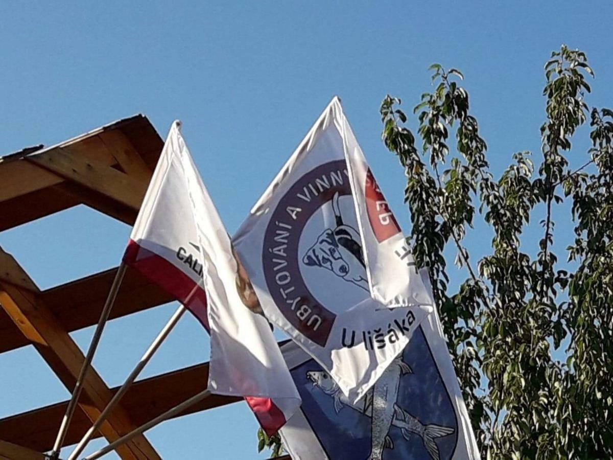Willa Ubytovani U Lisaka Foxe Bulhary Zewnętrze zdjęcie
